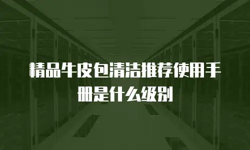 精品牛皮包清洁推荐使用手册是什么级别