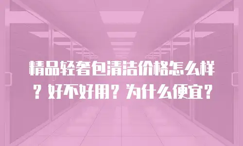 精品轻奢包清洁价格怎么样？好不好用？为什么便宜？