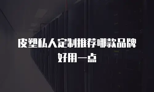 皮塑私人定制推荐哪款品牌好用一点