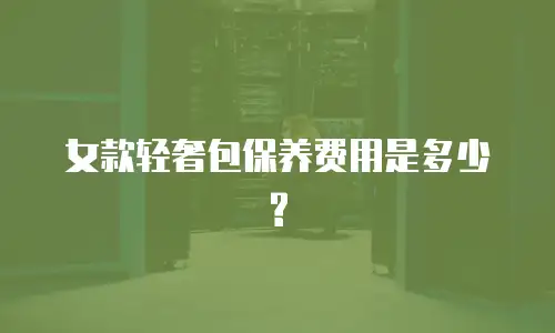 女款轻奢包保养费用是多少?
