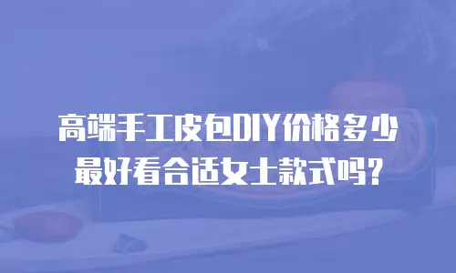 高端手工皮包DIY价格多少最好看合适女士款式吗？