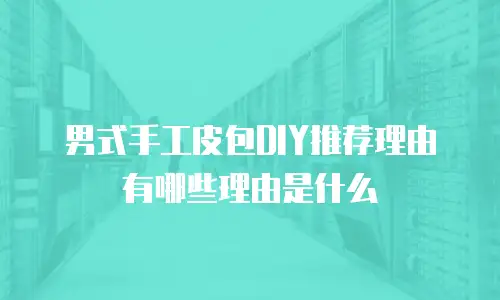 男式手工皮包DIY推荐理由有哪些理由是什么