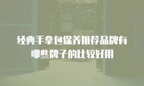 经典手拿包保养推荐品牌有哪些牌子的比较好用