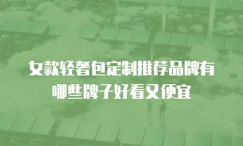 女款轻奢包定制推荐品牌有哪些牌子好看又便宜