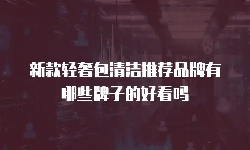 新款轻奢包清洁推荐品牌有哪些牌子的好看吗
