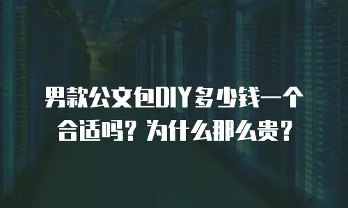 男款公文包DIY多少钱一个合适吗？为什么那么贵？