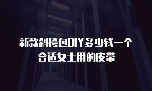 新款斜挎包DIY多少钱一个合适女士用的皮带