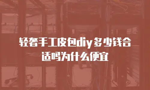 轻奢手工皮包diy多少钱合适吗为什么便宜