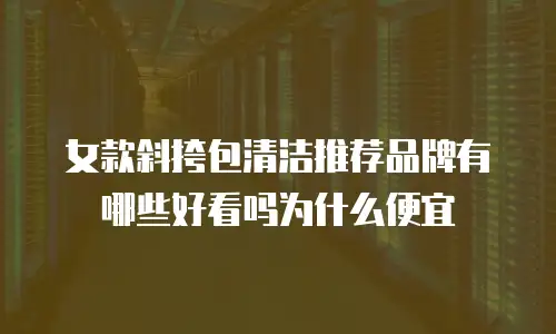 女款斜挎包清洁推荐品牌有哪些好看吗为什么便宜