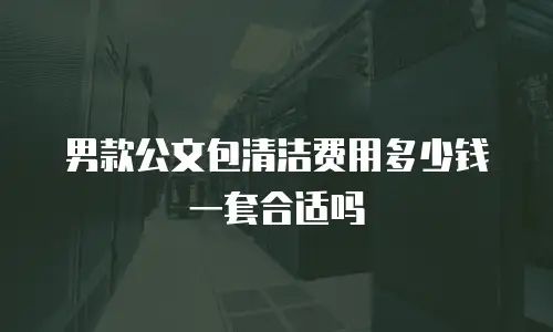 男款公文包清洁费用多少钱一套合适吗
