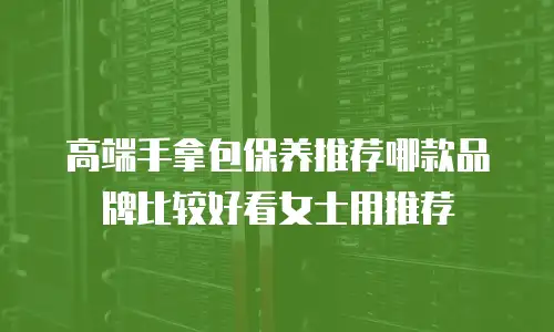 高端手拿包保养推荐哪款品牌比较好看女士用推荐