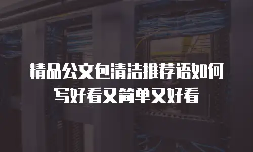 精品公文包清洁推荐语如何写好看又简单又好看