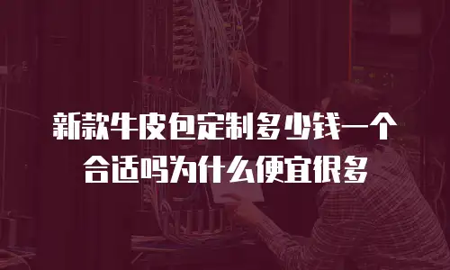 新款牛皮包定制多少钱一个合适吗为什么便宜很多