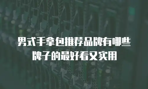 男式手拿包推荐品牌有哪些牌子的最好看又实用