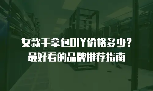 女款手拿包DIY价格多少？最好看的品牌推荐指南