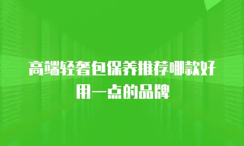 高端轻奢包保养推荐哪款好用一点的品牌