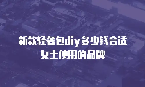 新款轻奢包diy多少钱合适女士使用的品牌