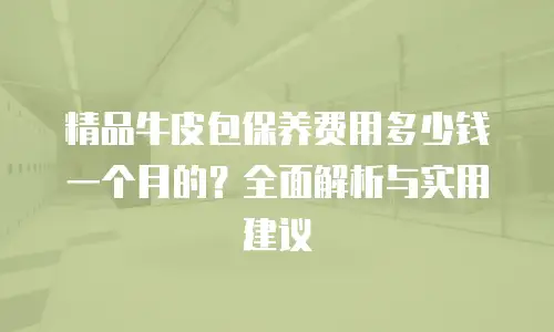 精品牛皮包保养费用多少钱一个月的？全面解析与实用建议