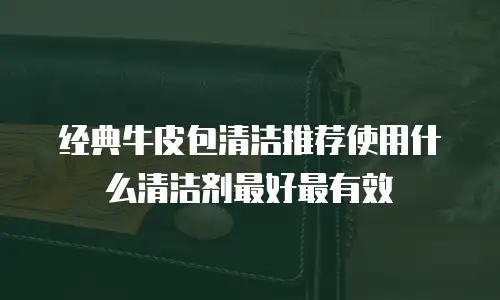 经典牛皮包清洁推荐使用什么清洁剂最好最有效