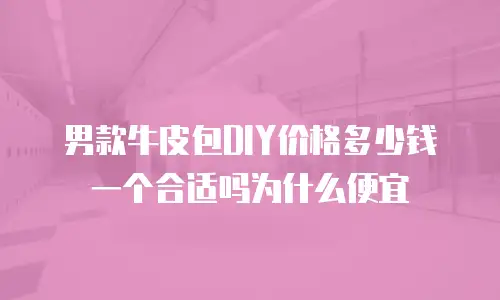 男款牛皮包DIY价格多少钱一个合适吗为什么便宜