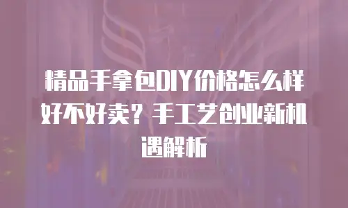 精品手拿包DIY价格怎么样好不好卖？手工艺创业新机遇解析