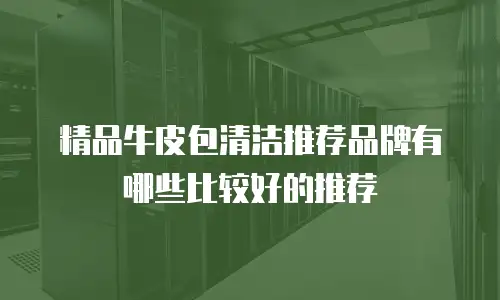 精品牛皮包清洁推荐品牌有哪些比较好的推荐