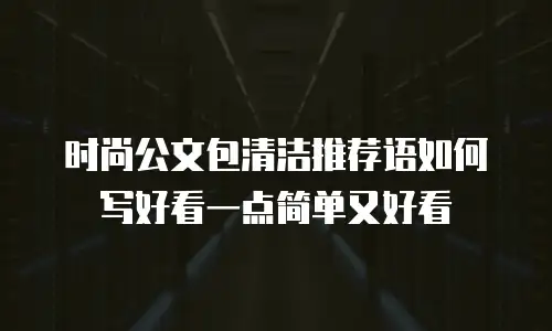 时尚公文包清洁推荐语如何写好看一点简单又好看