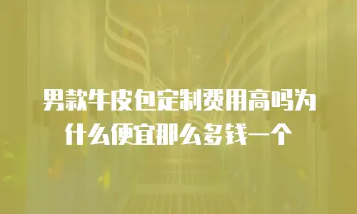 男款牛皮包定制费用高吗为什么便宜那么多钱一个