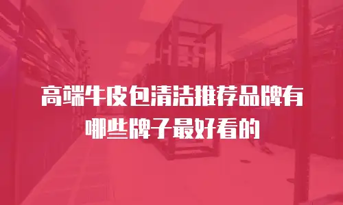 高端牛皮包清洁推荐品牌有哪些牌子最好看的