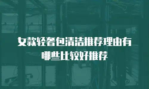 女款轻奢包清洁推荐理由有哪些比较好推荐
