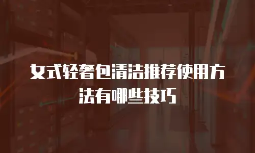 女式轻奢包清洁推荐使用方法有哪些技巧