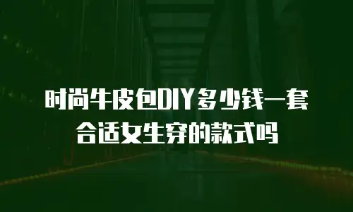 时尚牛皮包DIY多少钱一套合适女生穿的款式吗