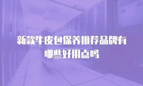 新款牛皮包保养推荐品牌有哪些好用点吗