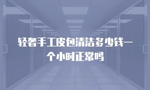 轻奢手工皮包清洁多少钱一个小时正常吗