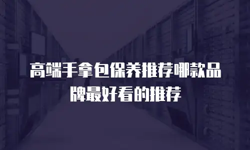 高端手拿包保养推荐哪款品牌最好看的推荐