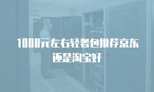 1000元左右轻奢包推荐京东还是淘宝好
