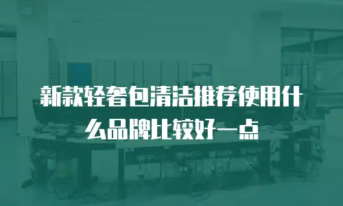 新款轻奢包清洁推荐使用什么品牌比较好一点