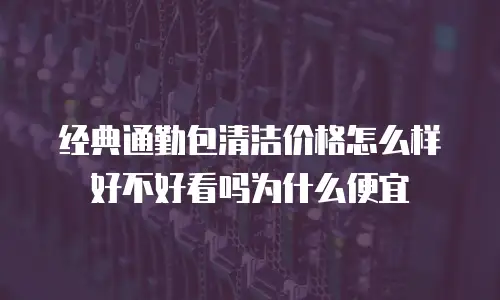 经典通勤包清洁价格怎么样好不好看吗为什么便宜