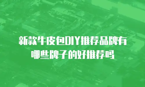 新款牛皮包DIY推荐品牌有哪些牌子的好推荐吗