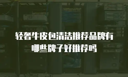 轻奢牛皮包清洁推荐品牌有哪些牌子好推荐吗