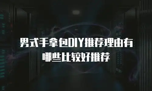男式手拿包DIY推荐理由有哪些比较好推荐