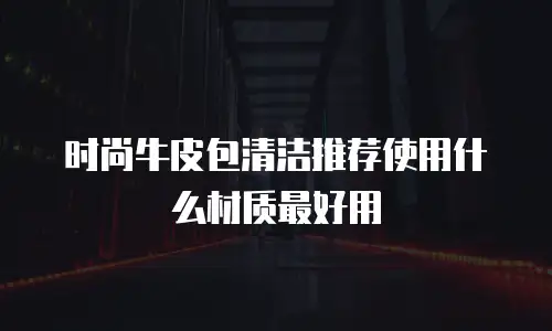 时尚牛皮包清洁推荐使用什么材质最好用