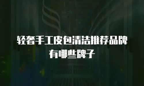 轻奢手工皮包清洁推荐品牌有哪些牌子