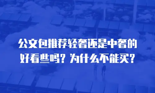 公文包推荐轻奢还是中奢的好看些吗？为什么不能买？