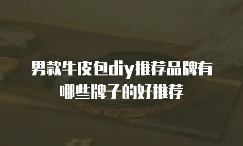 男款牛皮包diy推荐品牌有哪些牌子的好推荐