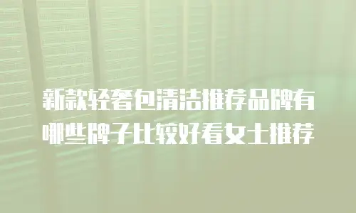 新款轻奢包清洁推荐品牌有哪些牌子比较好看女士推荐