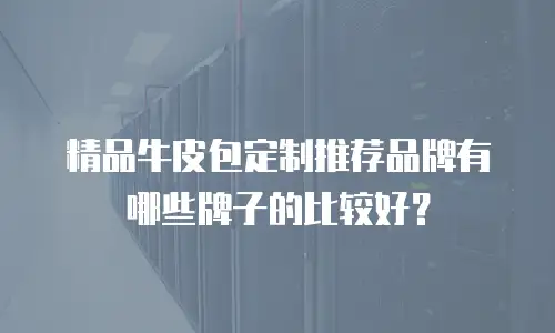 精品牛皮包定制推荐品牌有哪些牌子的比较好？