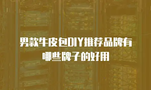 男款牛皮包DIY推荐品牌有哪些牌子的好用