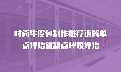 时尚牛皮包制作推荐语简单点评语优缺点建议评语