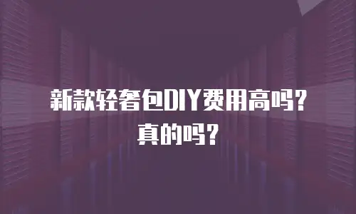 新款轻奢包DIY费用高吗？真的吗？